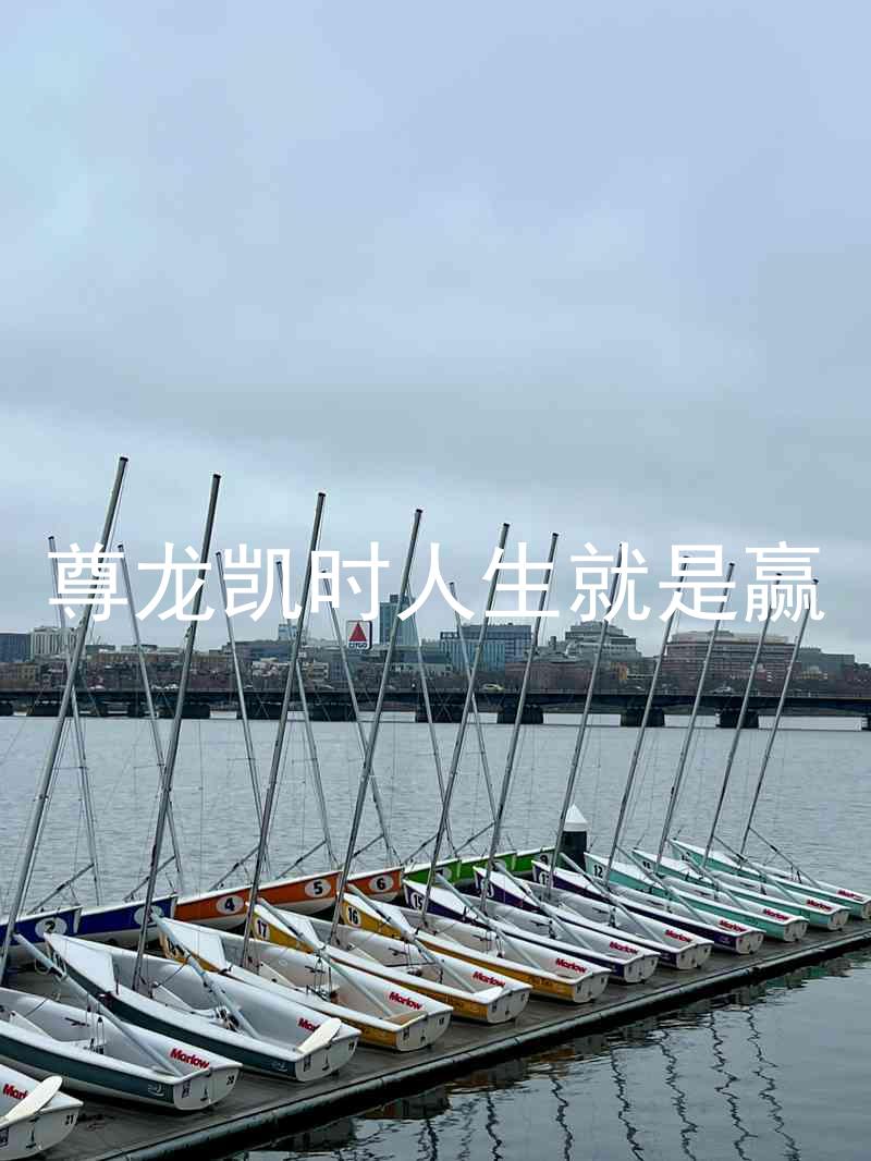 尊龙凯时人生就是赢